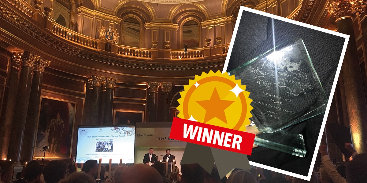 Social media award winner Social media award winner